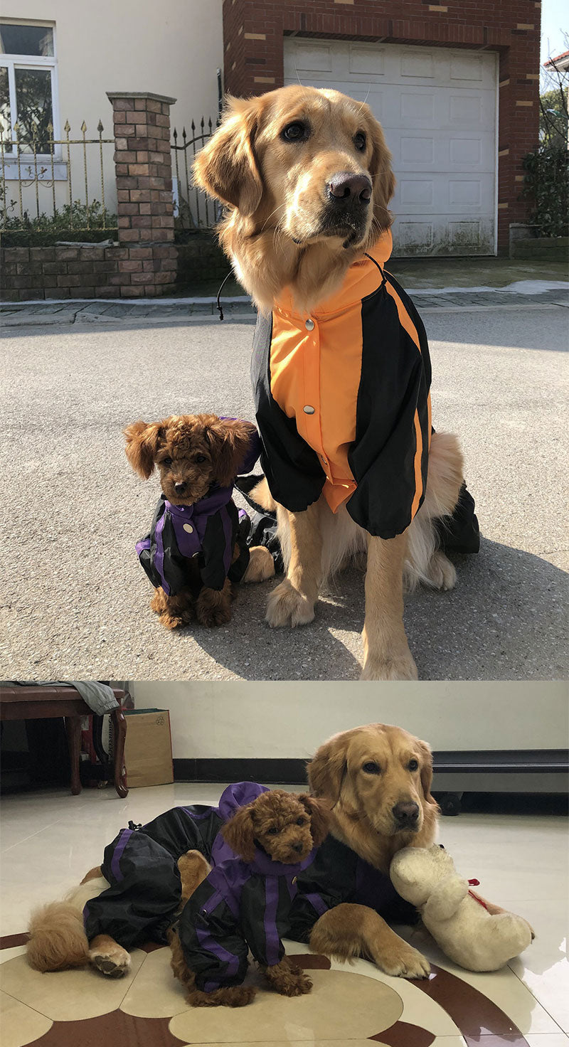 Orange Quadra Paw Rain Coat