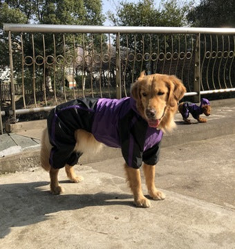 Purple Quadra Paw Rain Coat
