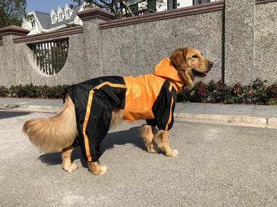 Orange Quadra Paw Rain Coat