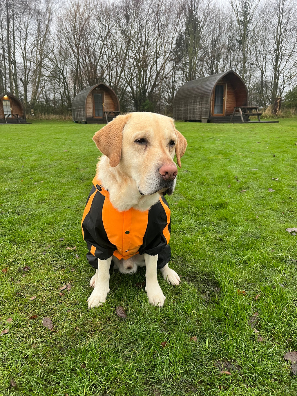 Orange Quadra Paw Rain Coat