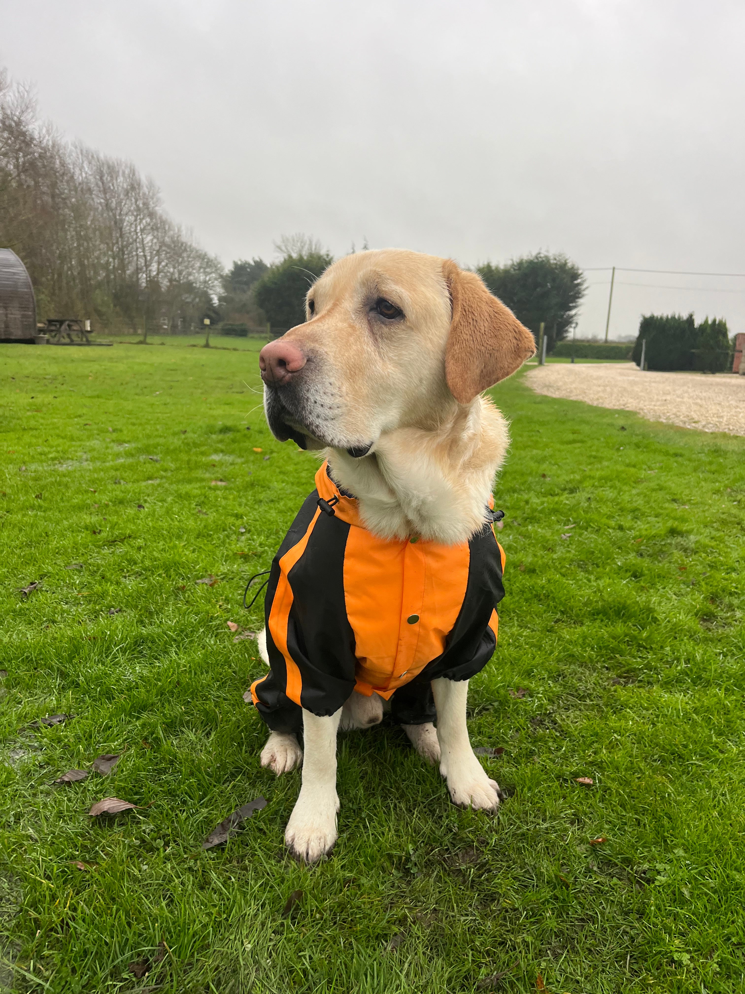 Orange Quadra Paw Rain Coat