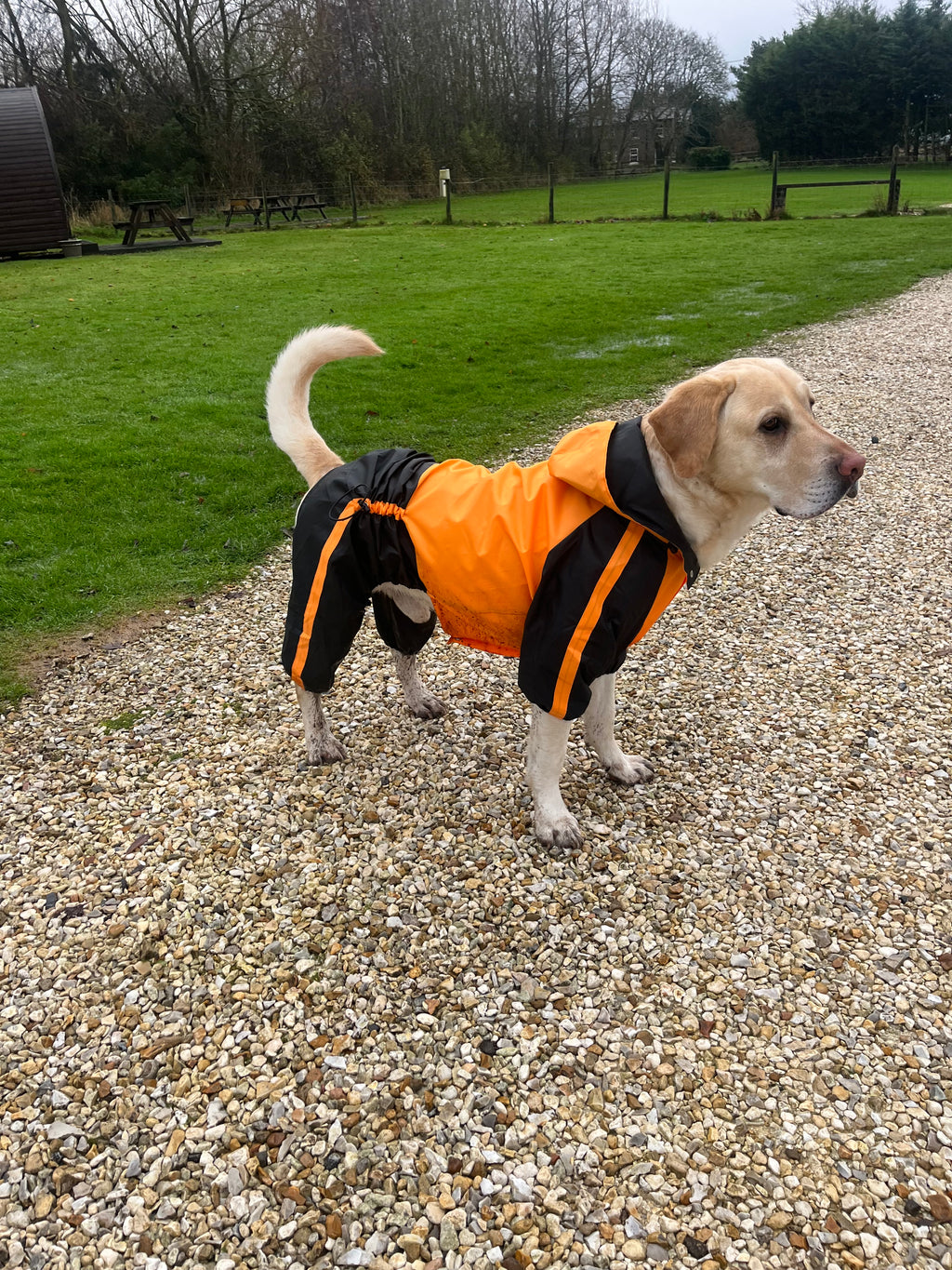 Orange Quadra Paw Rain Coat