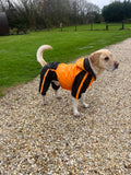 Orange Quadra Paw Rain Coat