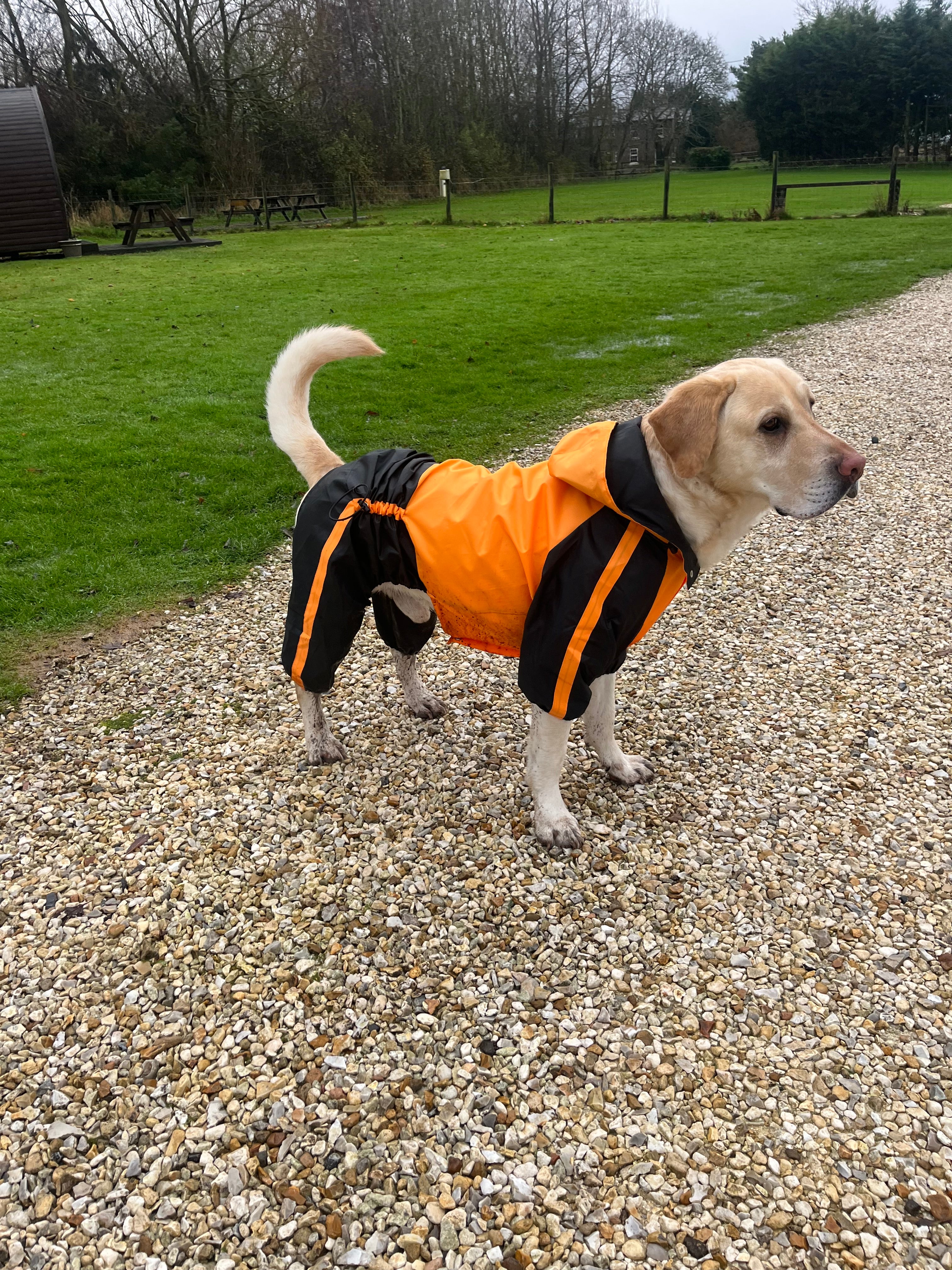 Orange Quadra Paw Rain Coat